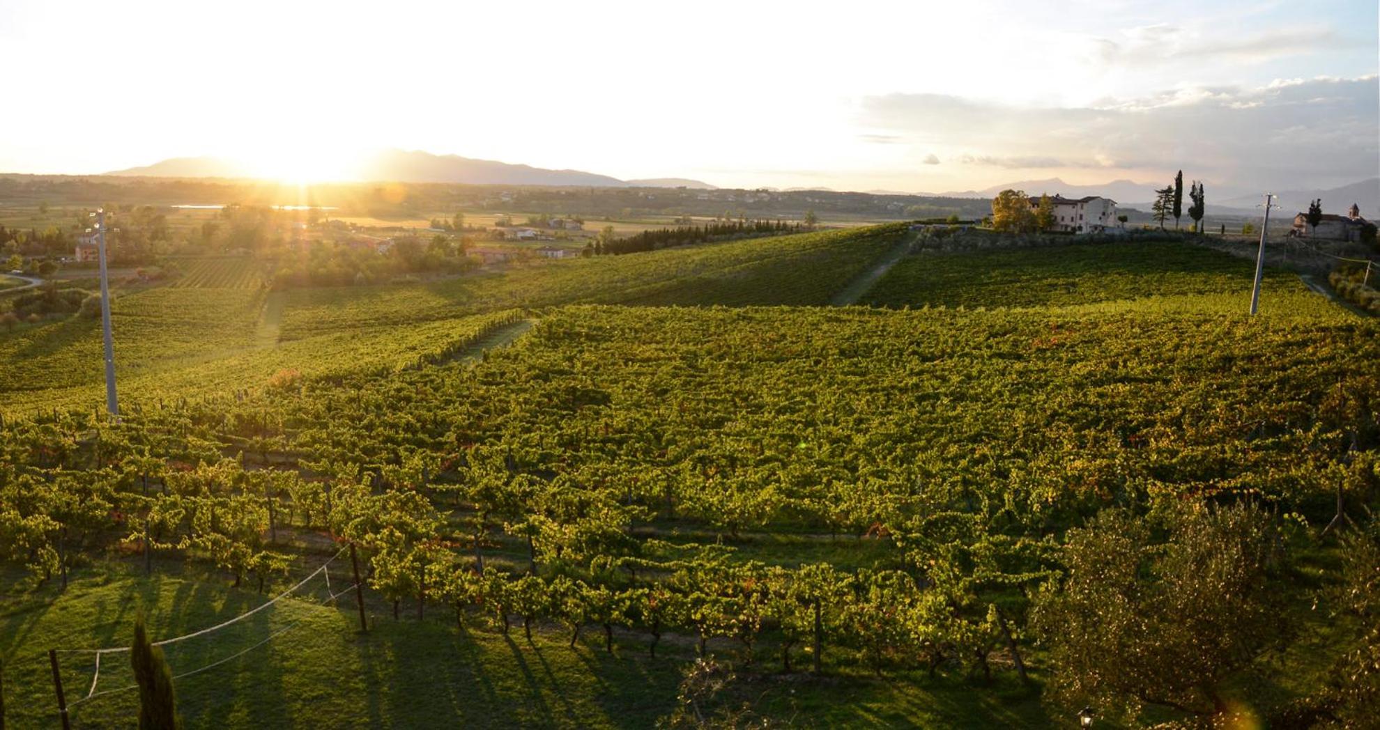 Agriturismo Corte In Poggio Stabbia Exteriör bild