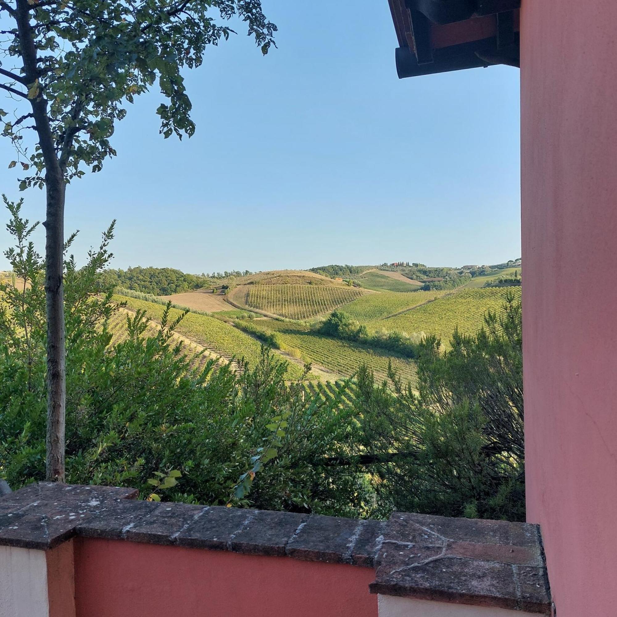 Agriturismo Corte In Poggio Stabbia Rum bild